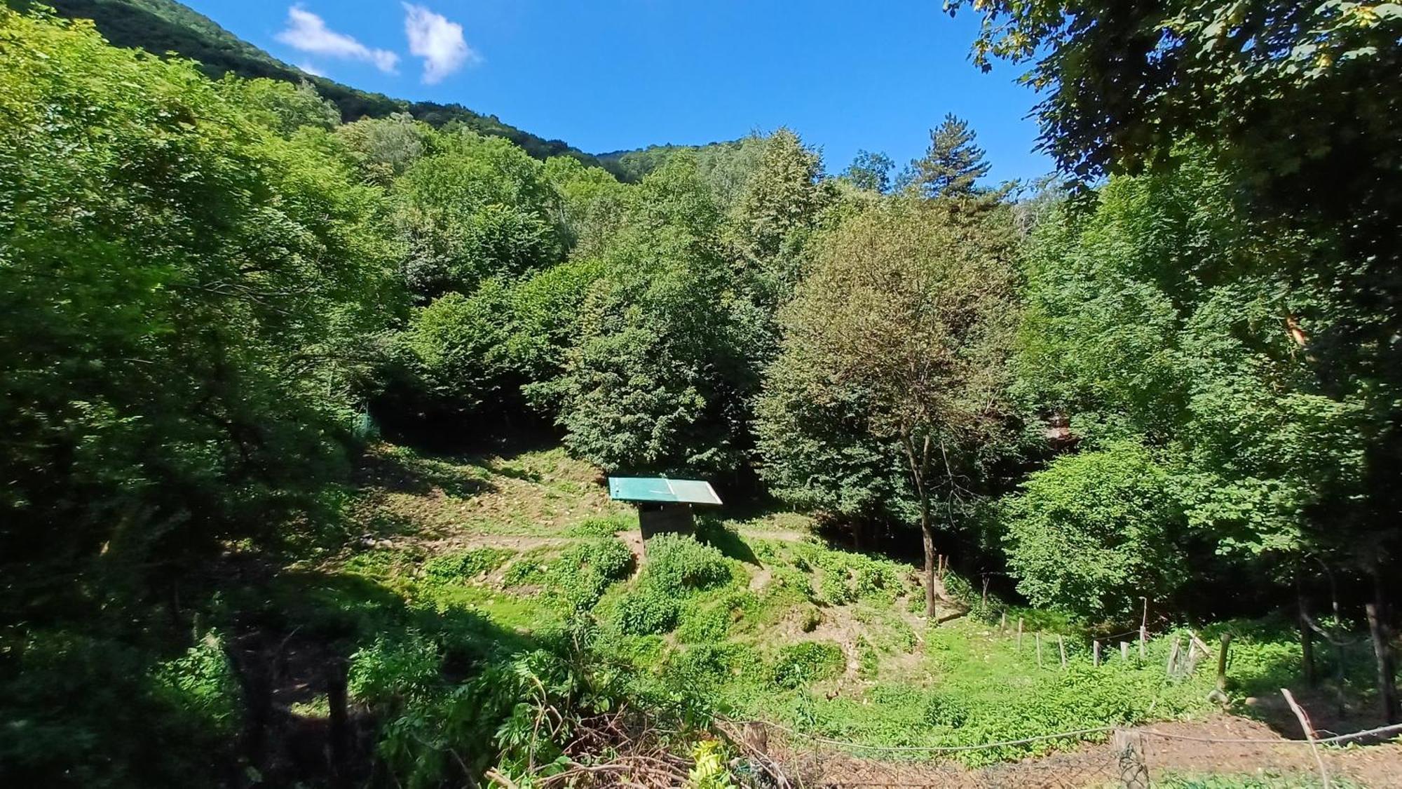 La Stanza Del Bosco Apartment Arcumeggia Bagian luar foto