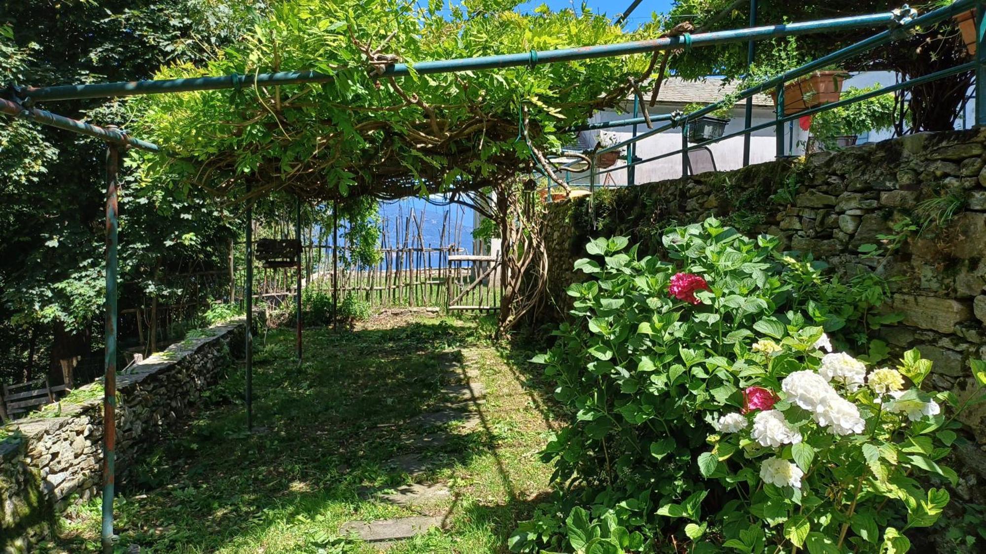 La Stanza Del Bosco Apartment Arcumeggia Bagian luar foto