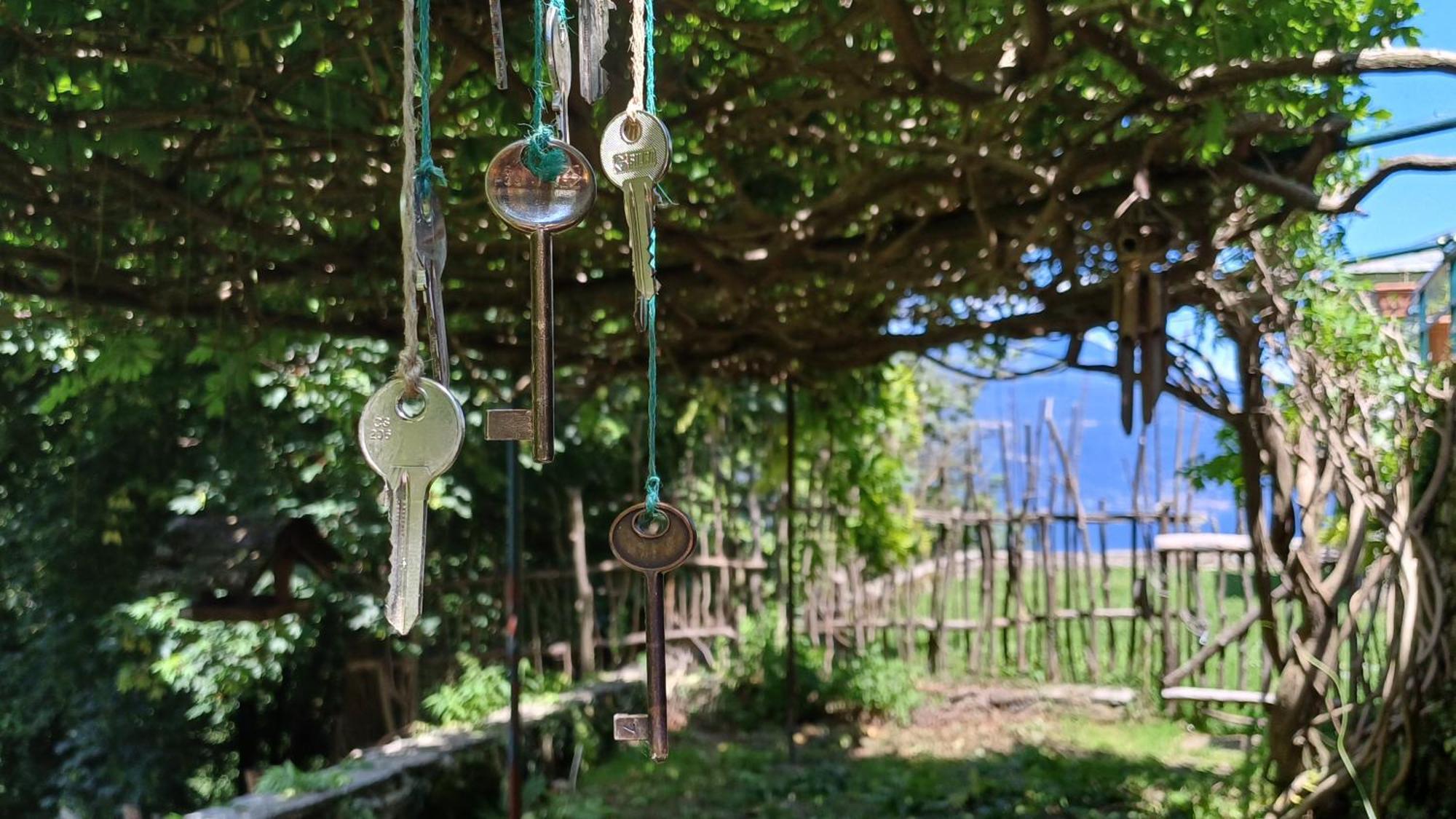 La Stanza Del Bosco Apartment Arcumeggia Bagian luar foto